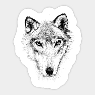 wolf Sticker